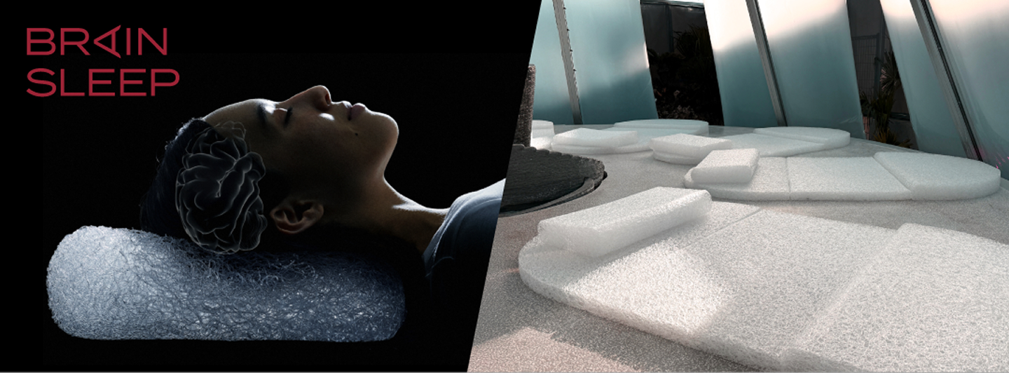 Brain Sleep
